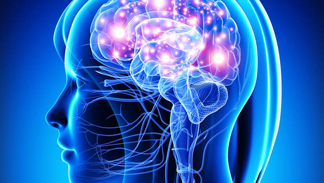 brain6